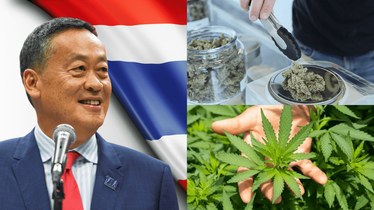 Thailand's Prime Minister Pledges To Curtail Widespread Cannabis Use